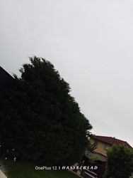 Szigetszentmiklós