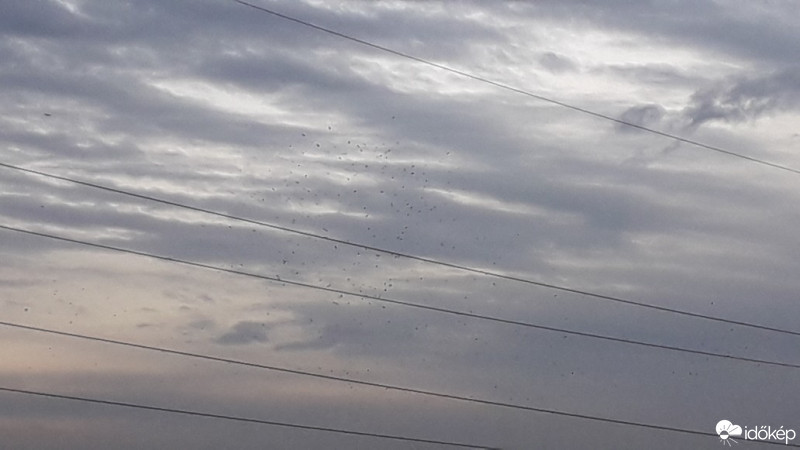 Budapest X.ker - Téglagyárdűlő