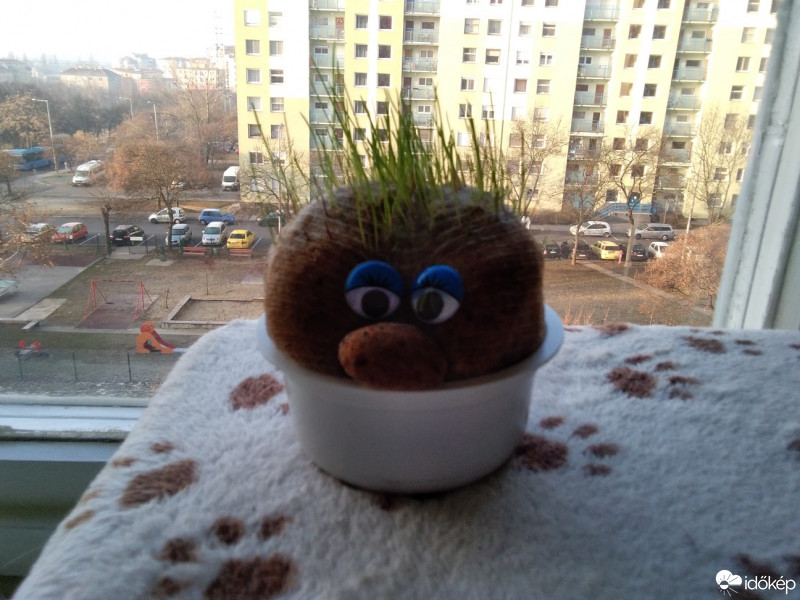 Budapest X.ker - Téglagyárdűlő