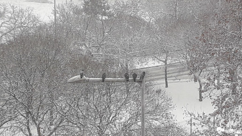 Budapest X.ker - Téglagyárdűlő