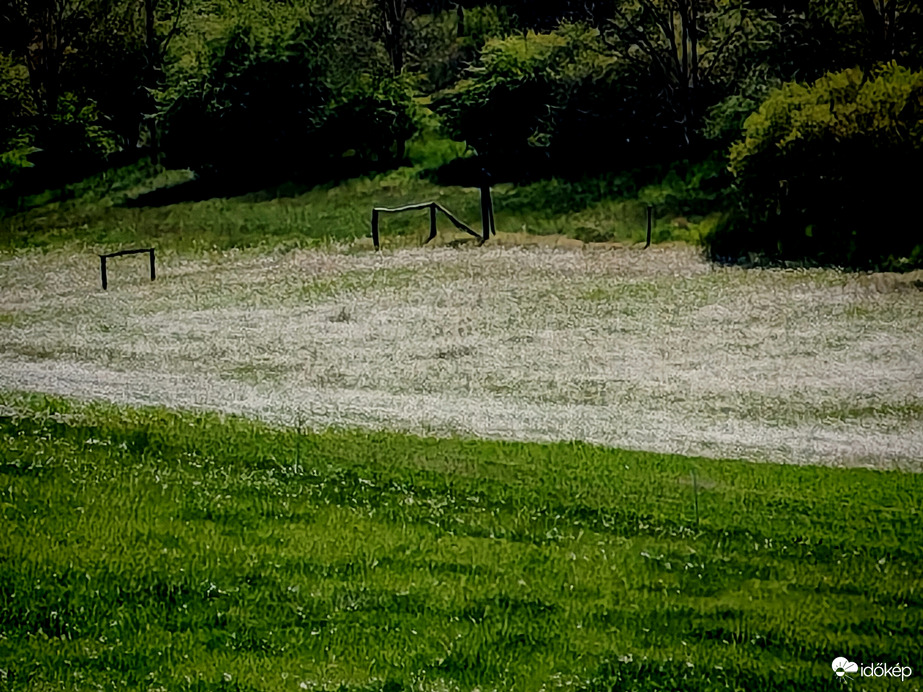 Természet