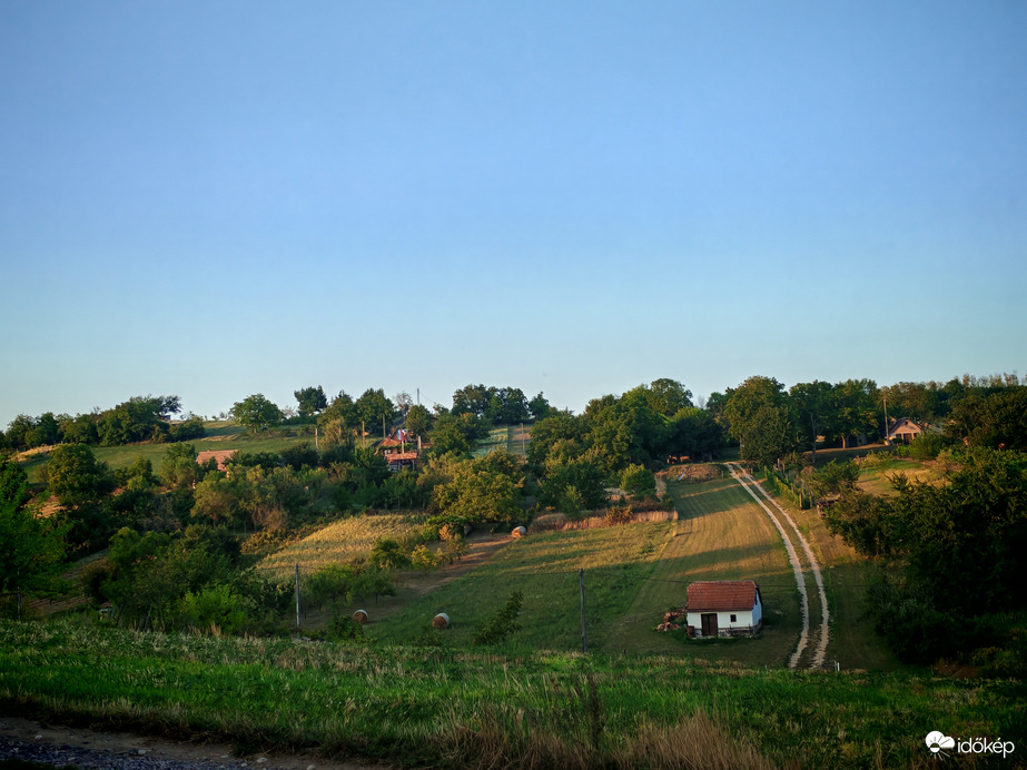 Iznai szőlőhegy. 