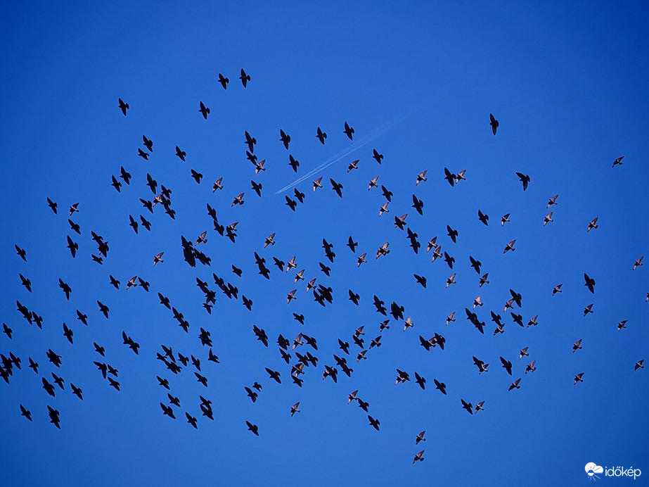 Melyikünk gyorsabb..? 