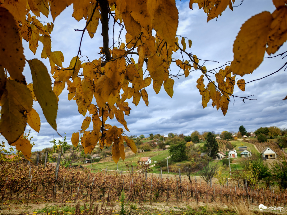 Az ősz a legjobb festő. 