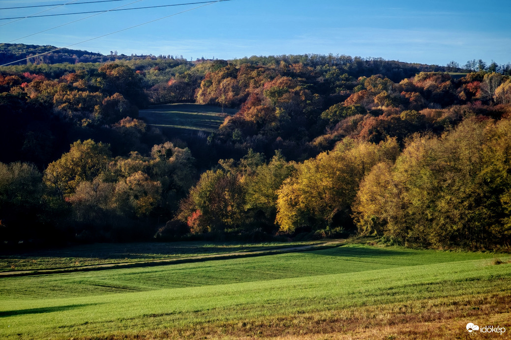 Reggeli napsütésben. 