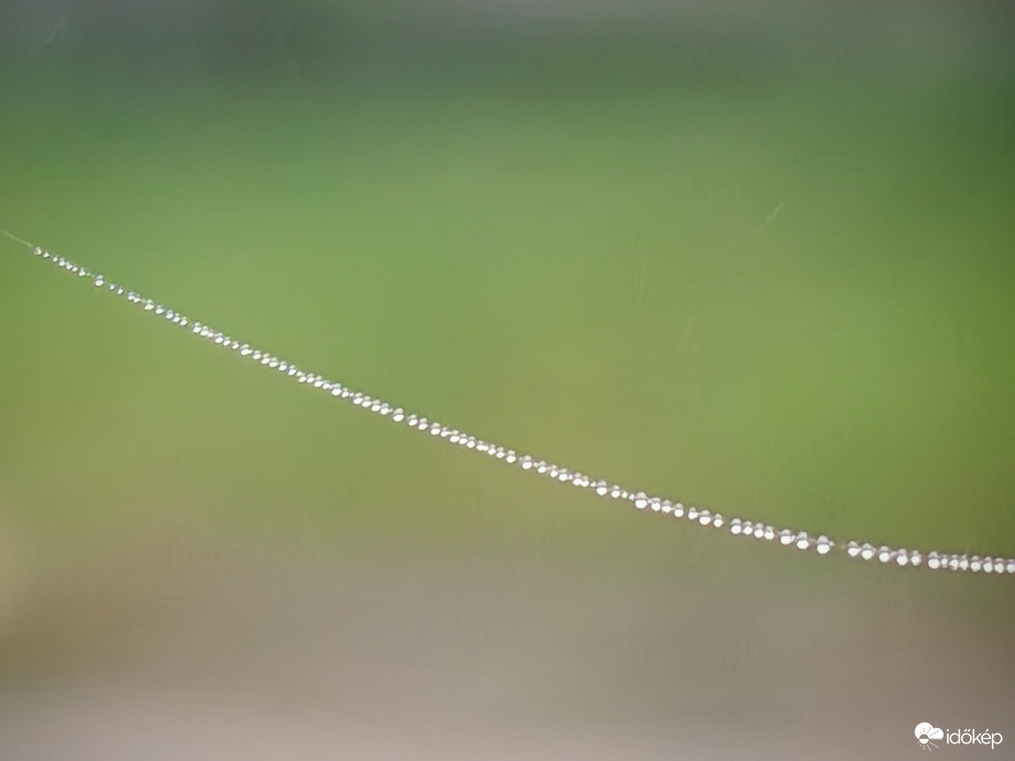 nochtagabi1973 fotója