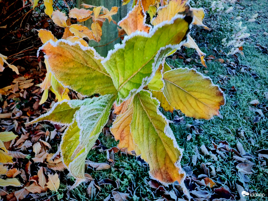 Fagyosan, színesen. 