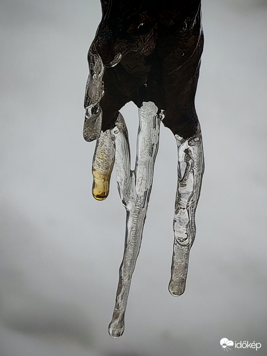 Jégbe fagyott levél.2. 