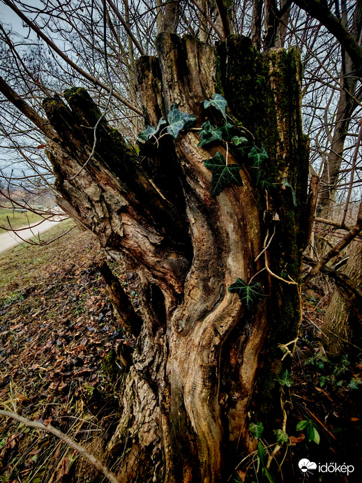 A természet játéka.. 