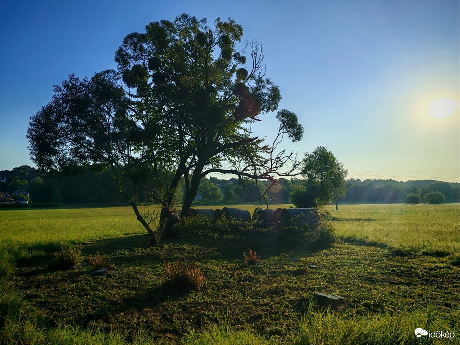 Reggeli napsütésben