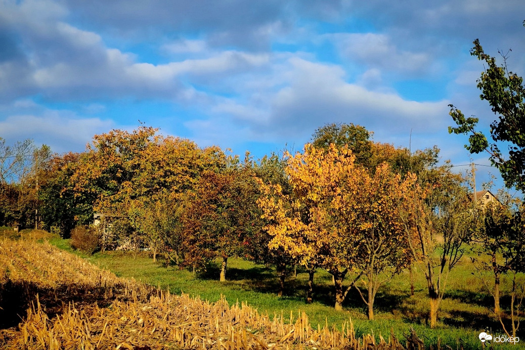 Az ősz szin árnyalatai. 