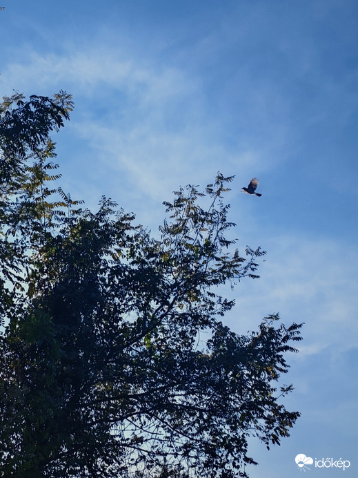 Mindjárt fent vagyok. 