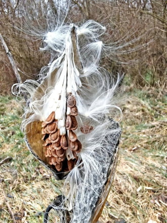 Még nem repülünk.. 