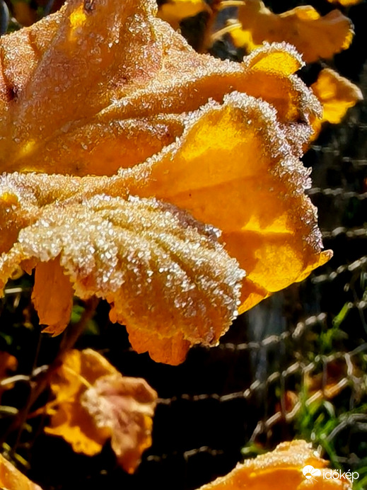 Cukorral megszórva... 