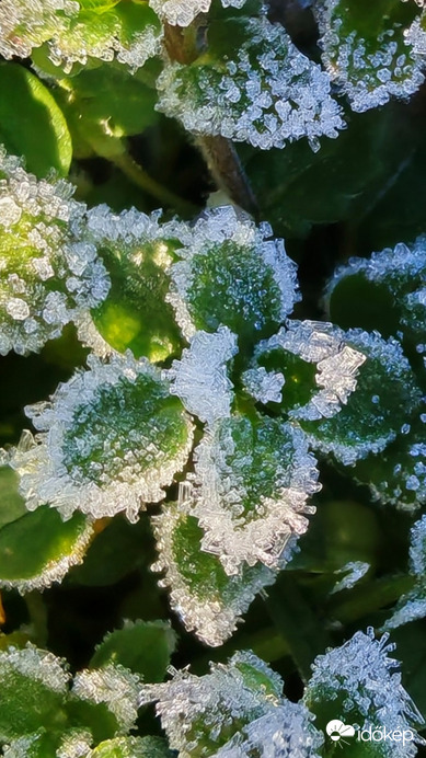 Jégkristályos. 