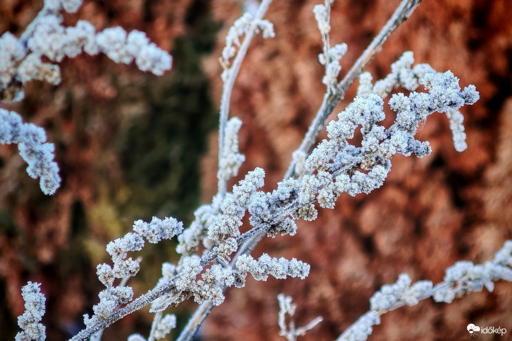 Kristályokkal kirakva. 