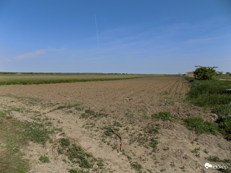 Az alföldi szép nagy rónaság