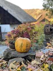 Halloween Hollókőn