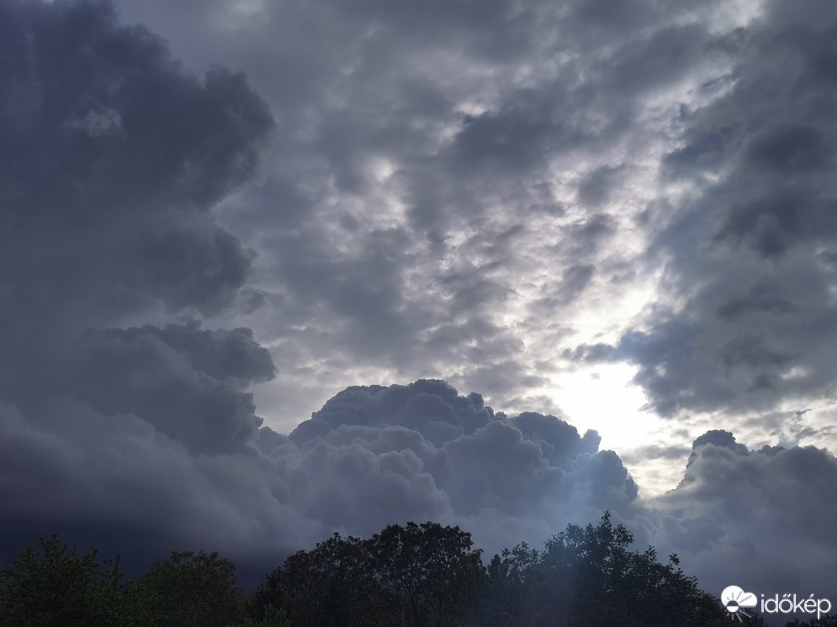 Észlelési fényképek