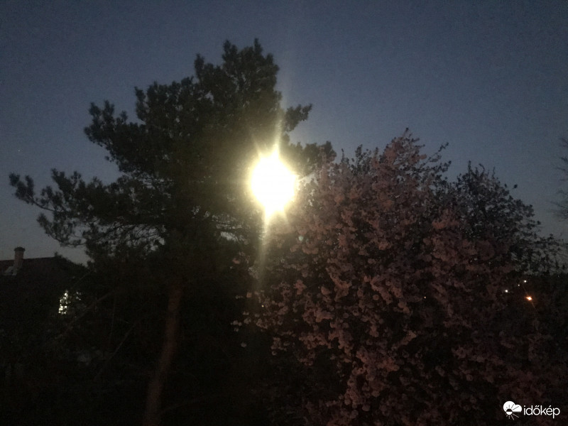 Tavaszi Holdfényes Éjszaka