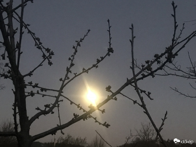 Tavaszi Holdfényes Éjszaka