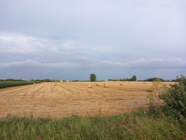 Álmosd