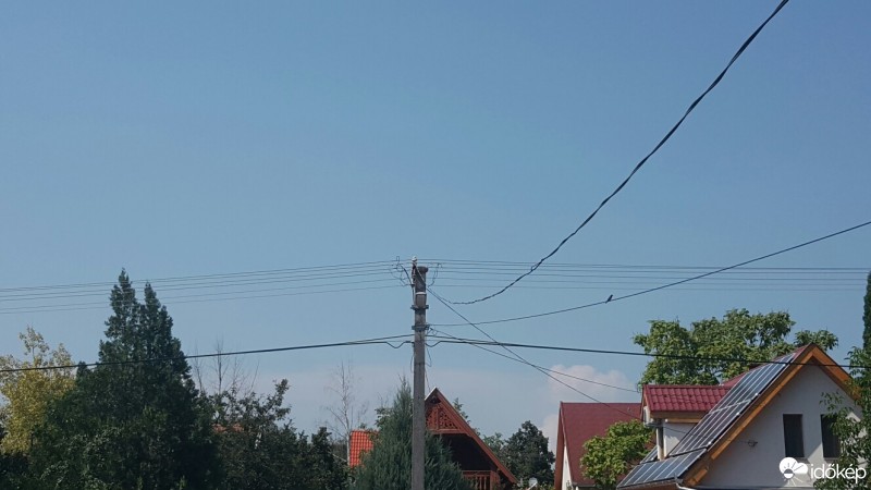 Észlelési fényképek