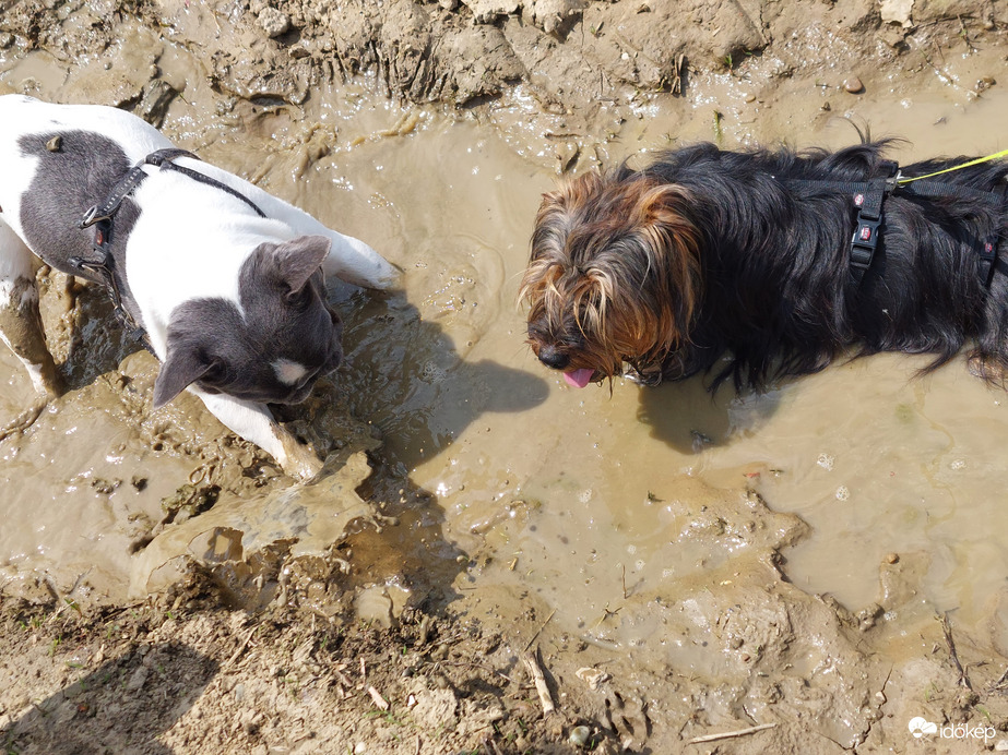 Nálunk éjszaka esett, most pedig kutya meleg van 