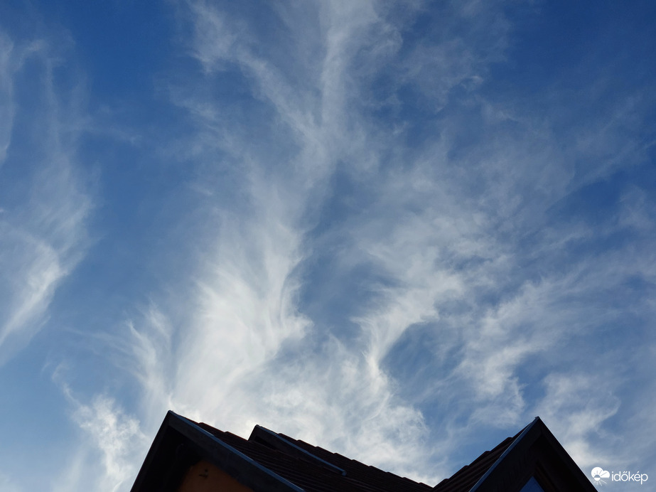 "Kivirágzott" a házunk teteje 