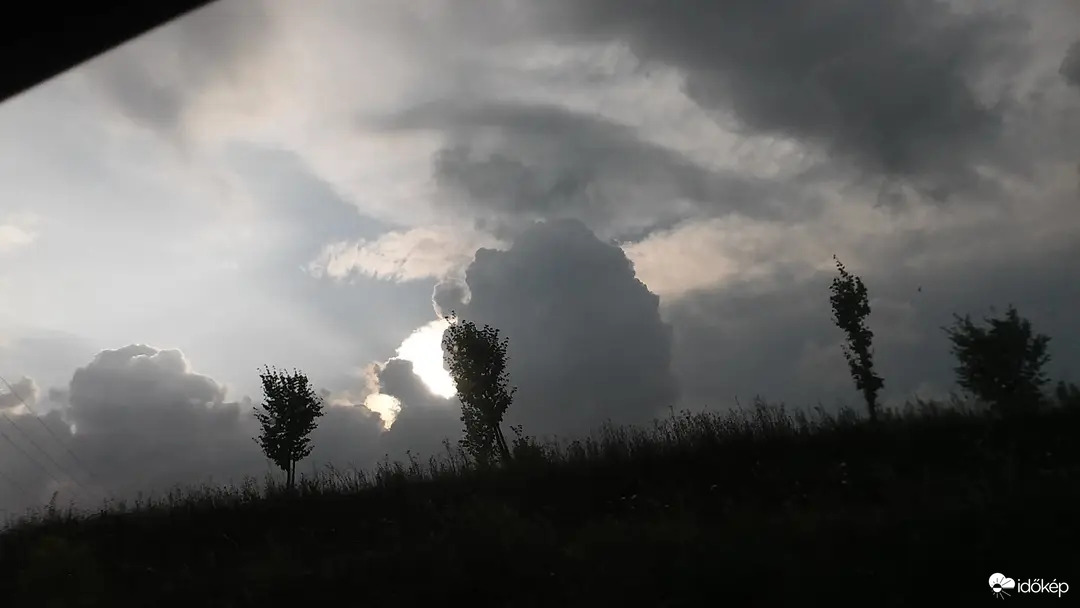 Ma hét éve fotóztam. Azóta is sejtelmes érzéseket vált ki belőlem, ahogy "figyel".