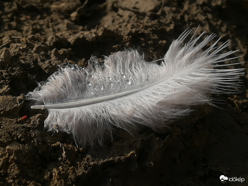 Valaki járt erre... 