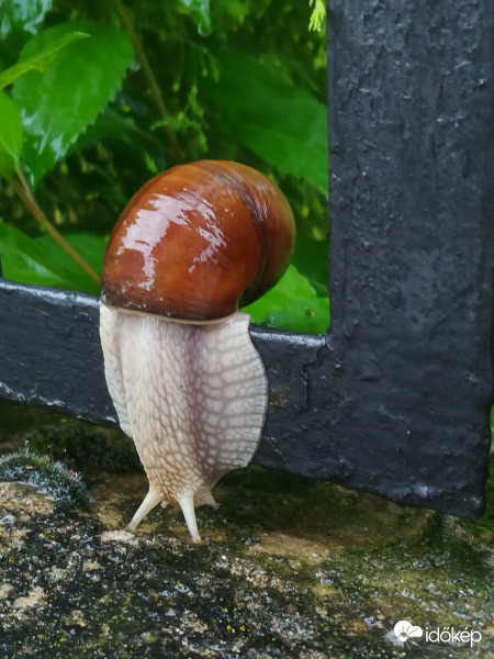 Mindenkinek boldog esernyőt, aki ma tartja! :) 