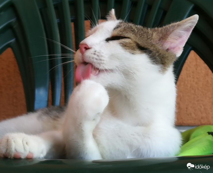 Aki nem kap fagyit... 