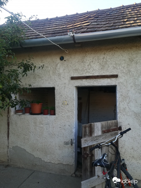 És most hova bújt? :) 