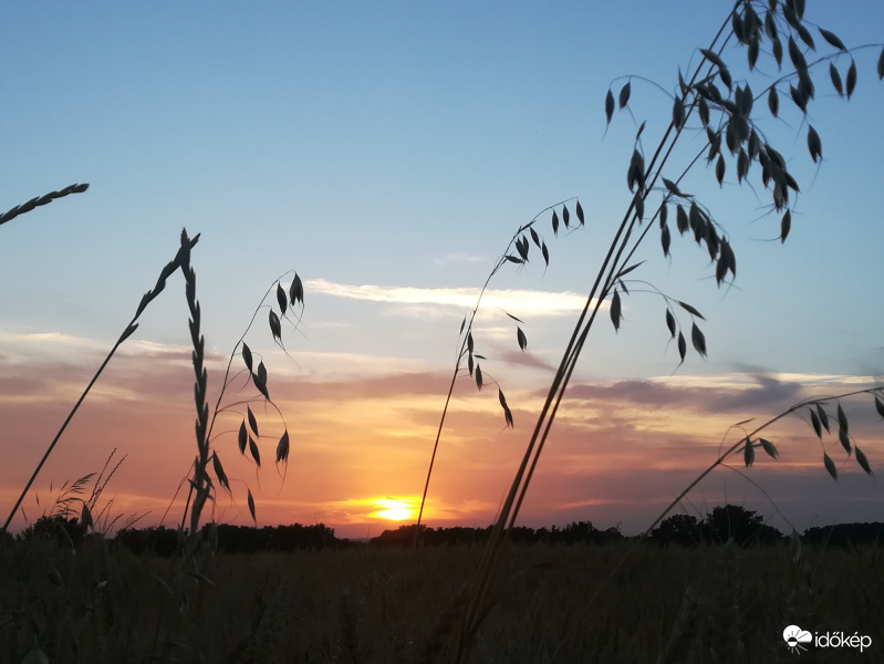 Majdnem gémeskút :) 
