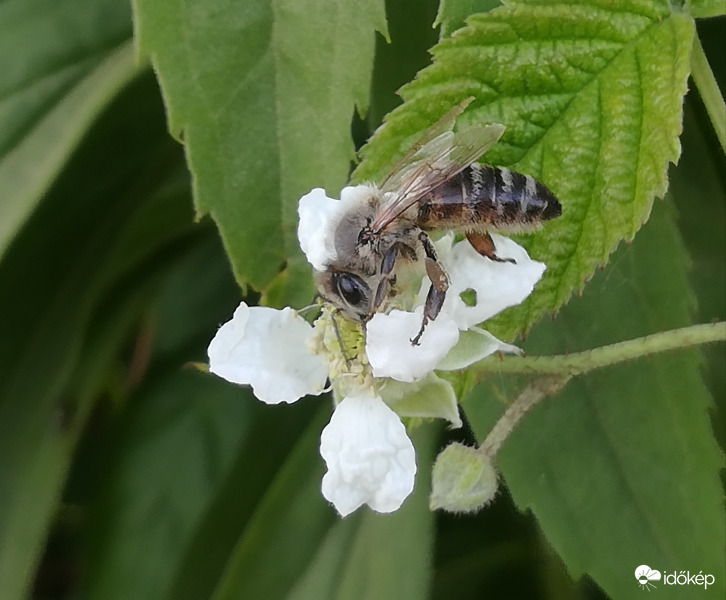 Késő délutáni műszak 