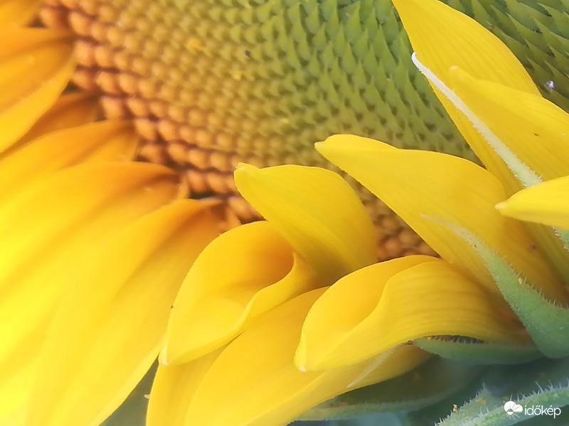 Nekem így is tetszik 