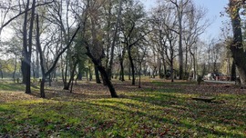 Őszi park