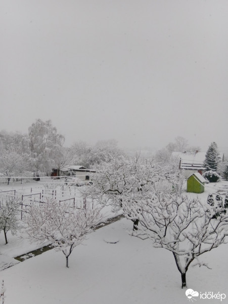 Észlelési fényképek