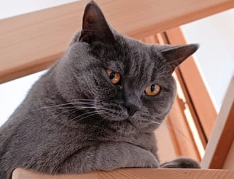 Jobb bent mint kint.