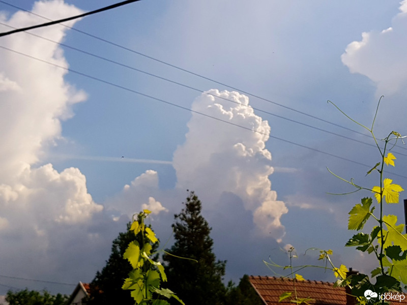 Észlelési fényképek