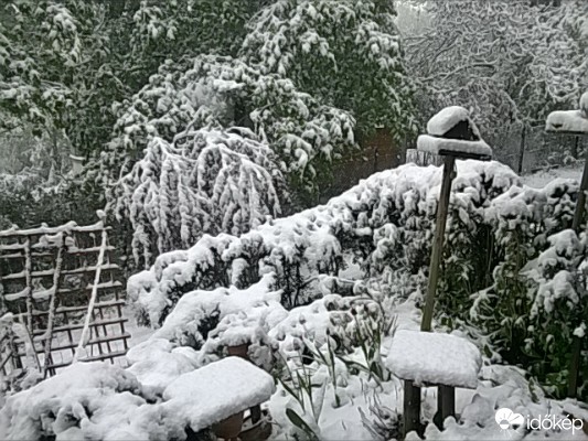 Észlelési fényképek