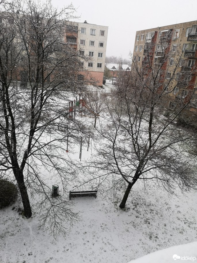 Észlelési fényképek