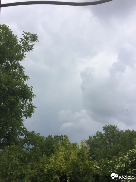 Észlelési fényképek