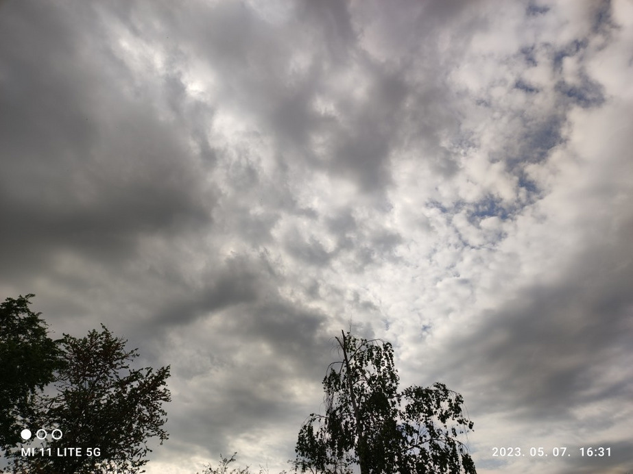 Észlelési fényképek