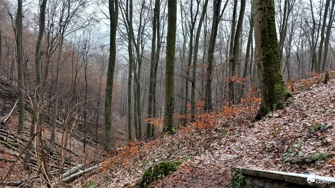  Zsilibes-forrás ,Ódor vár alatt 