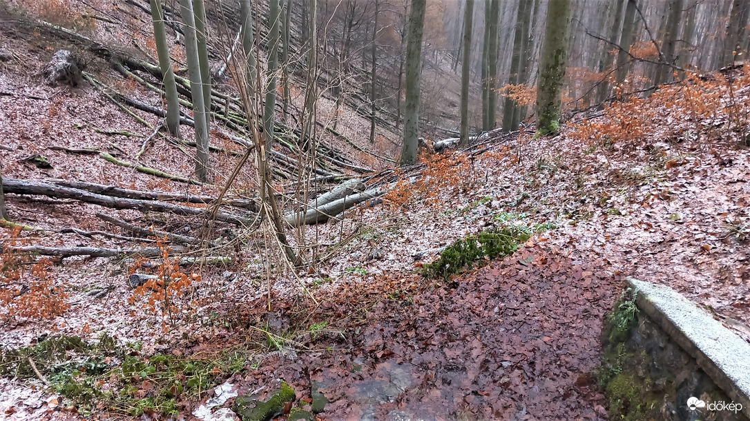  Zsilibes-forrás ,Ódor vár alatt 