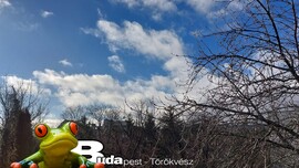 Budapest II.ker - Törökvész