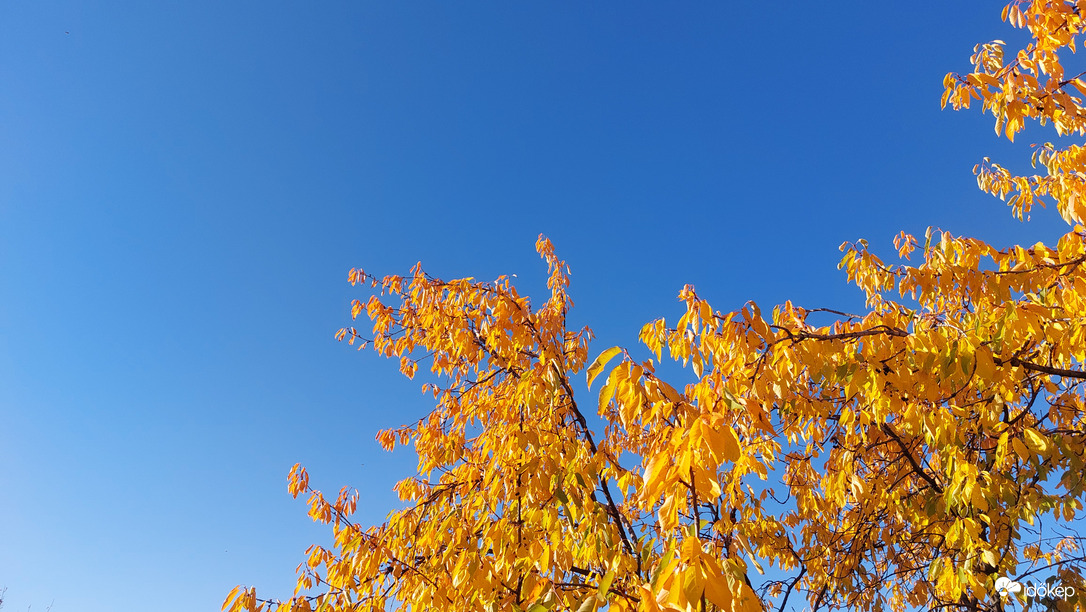 Budapest II.ker - Törökvész