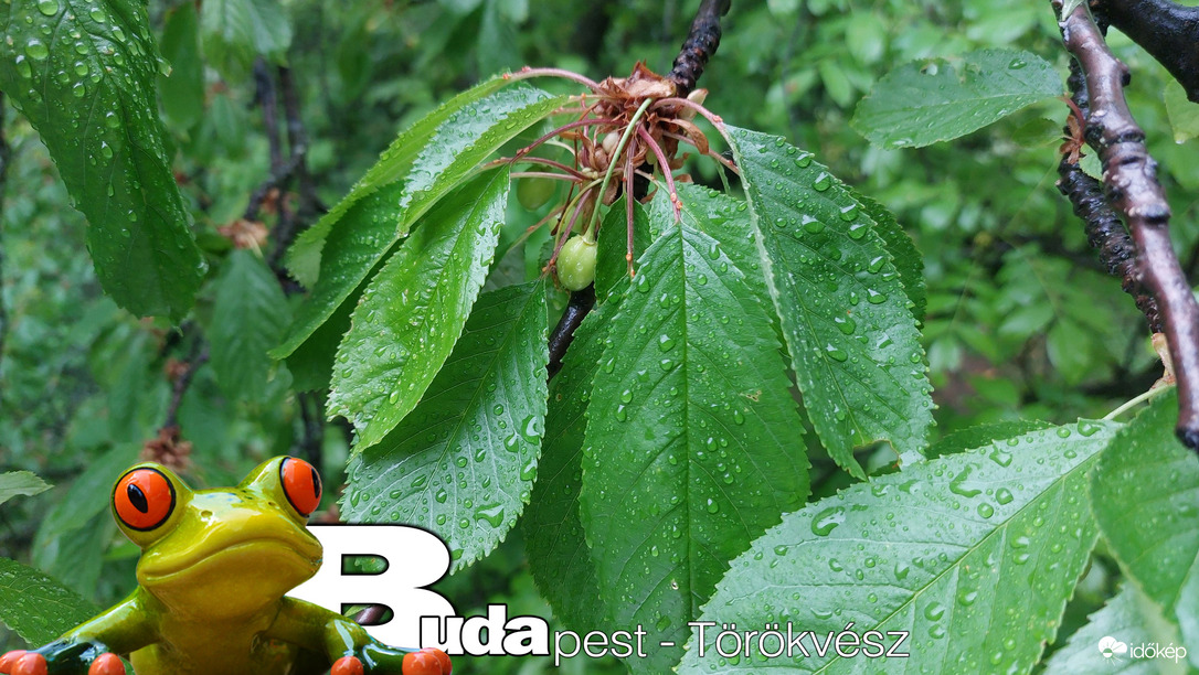 Budapest II.ker - Törökvész